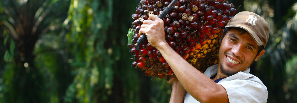 Smiling man holding harvested palm.