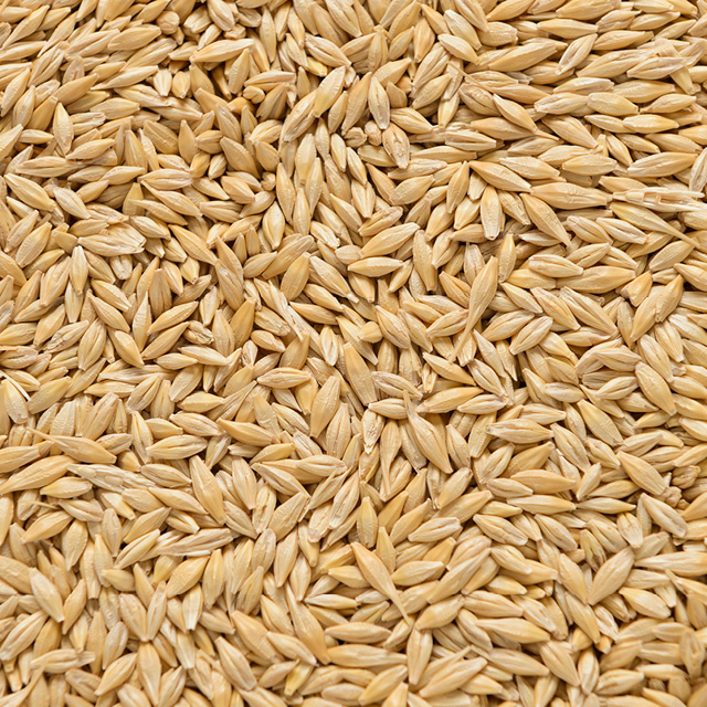 Food and ingredients - grains (2)