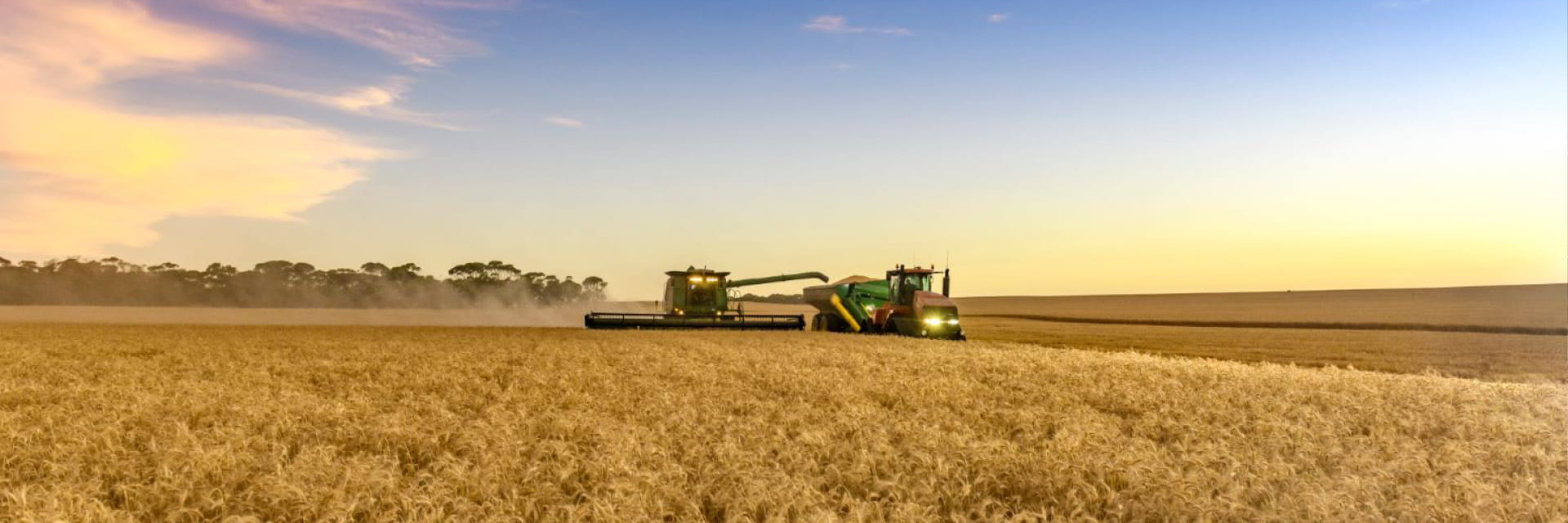 harvesting