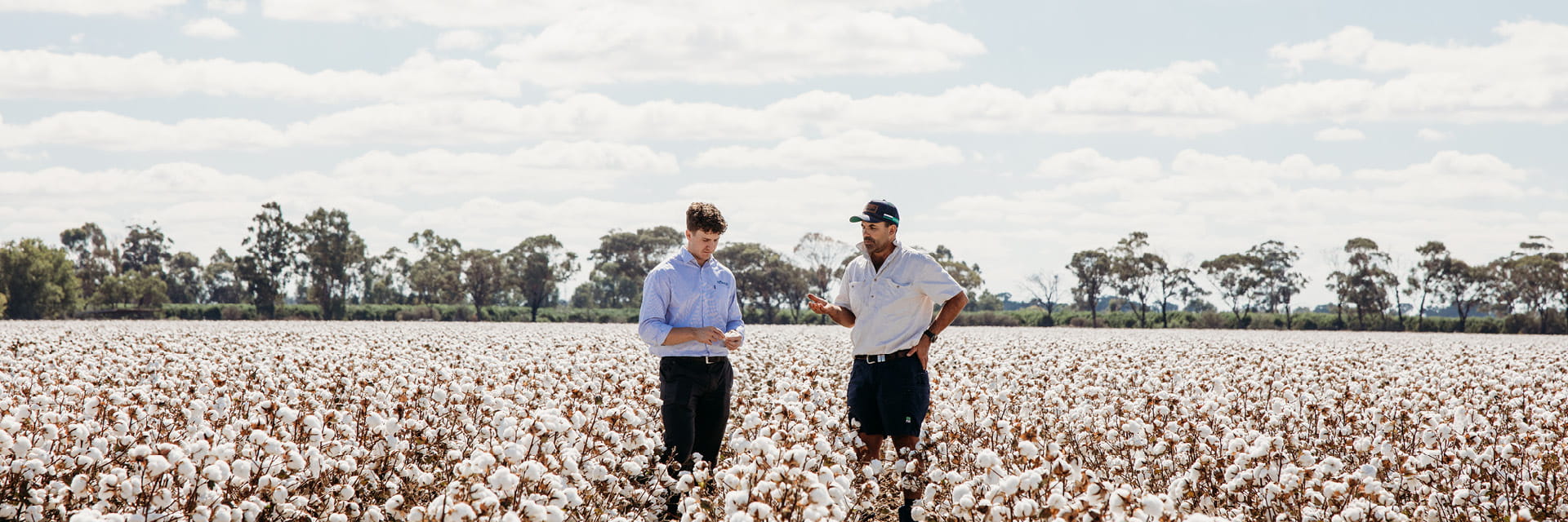Selling to Bunge cotton