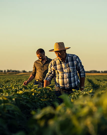 farmers