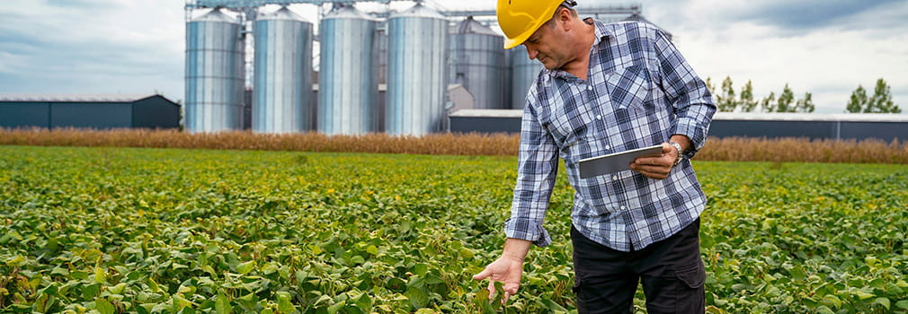 agricultor experto