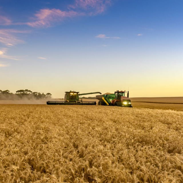 Bunge app and Ezigrain2