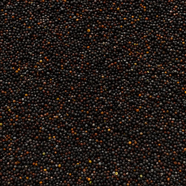 Food and ingredients - oilseeds2
