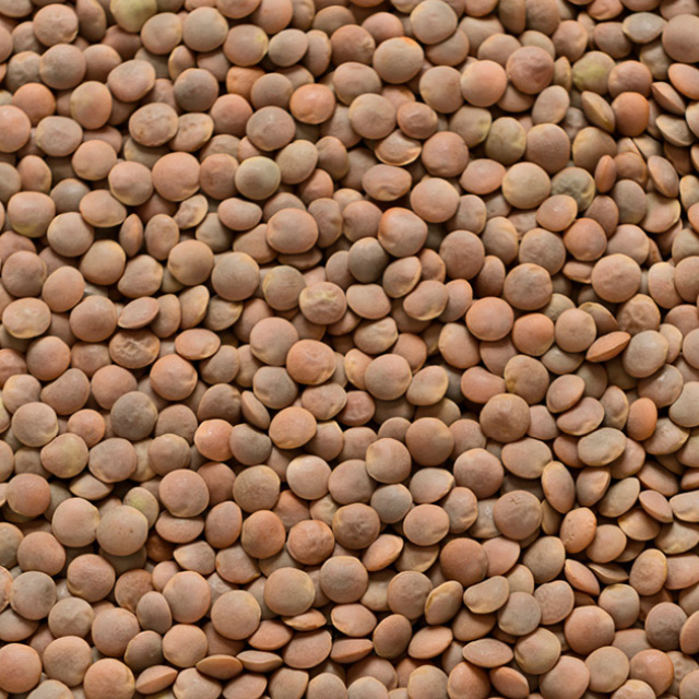 Food and ingredients - pulses 2