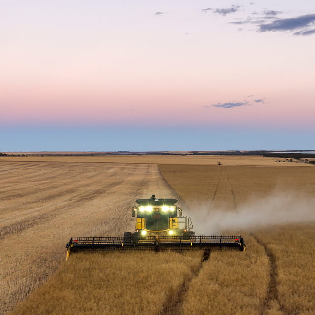 Bunge app and Ezigrain