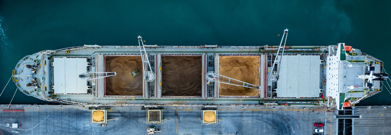Commodity imports
