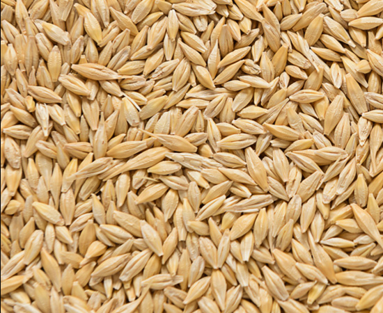 Our commodities - barley (2)
