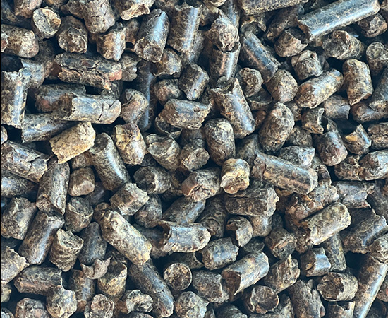 Our commodities - citrus pulp pellet (2)