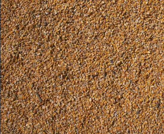 Our commodities - DDGS (2)
