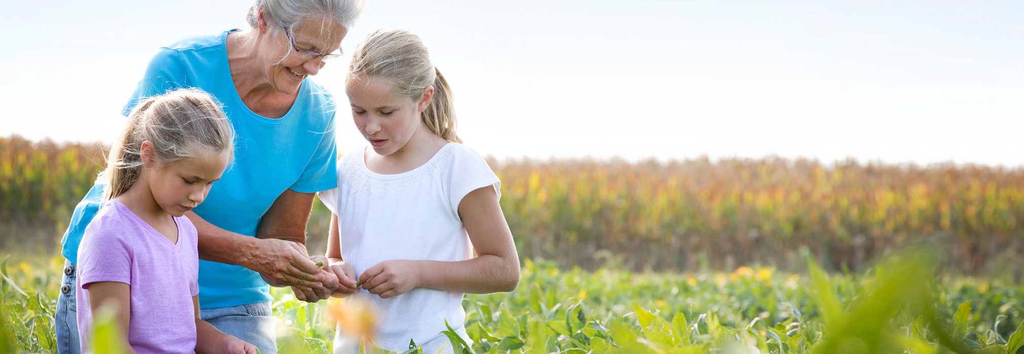 Grandma and Grandkids in a soybean field