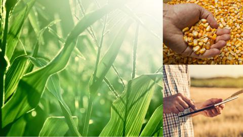 Fertilizantes SolMIX ECO POWER