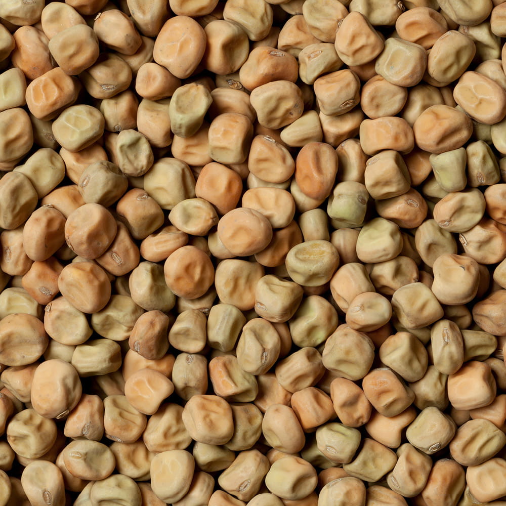 Field peas