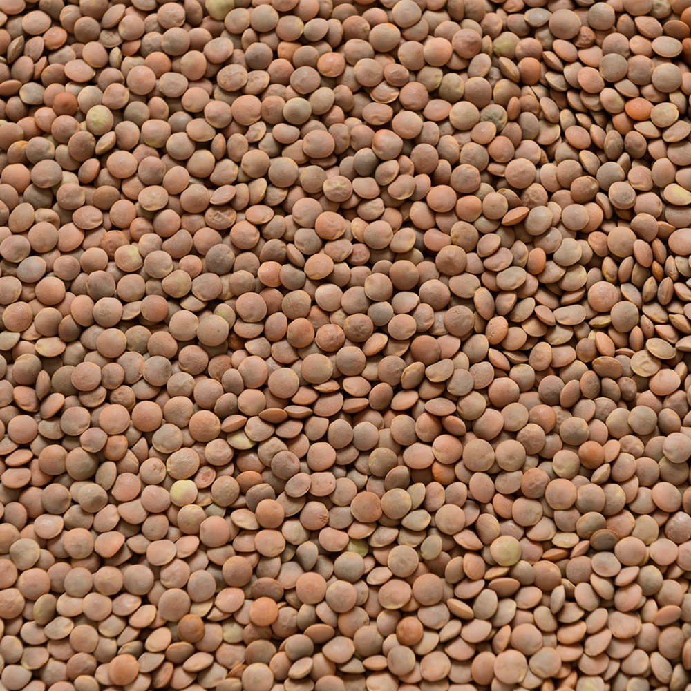 Lentils