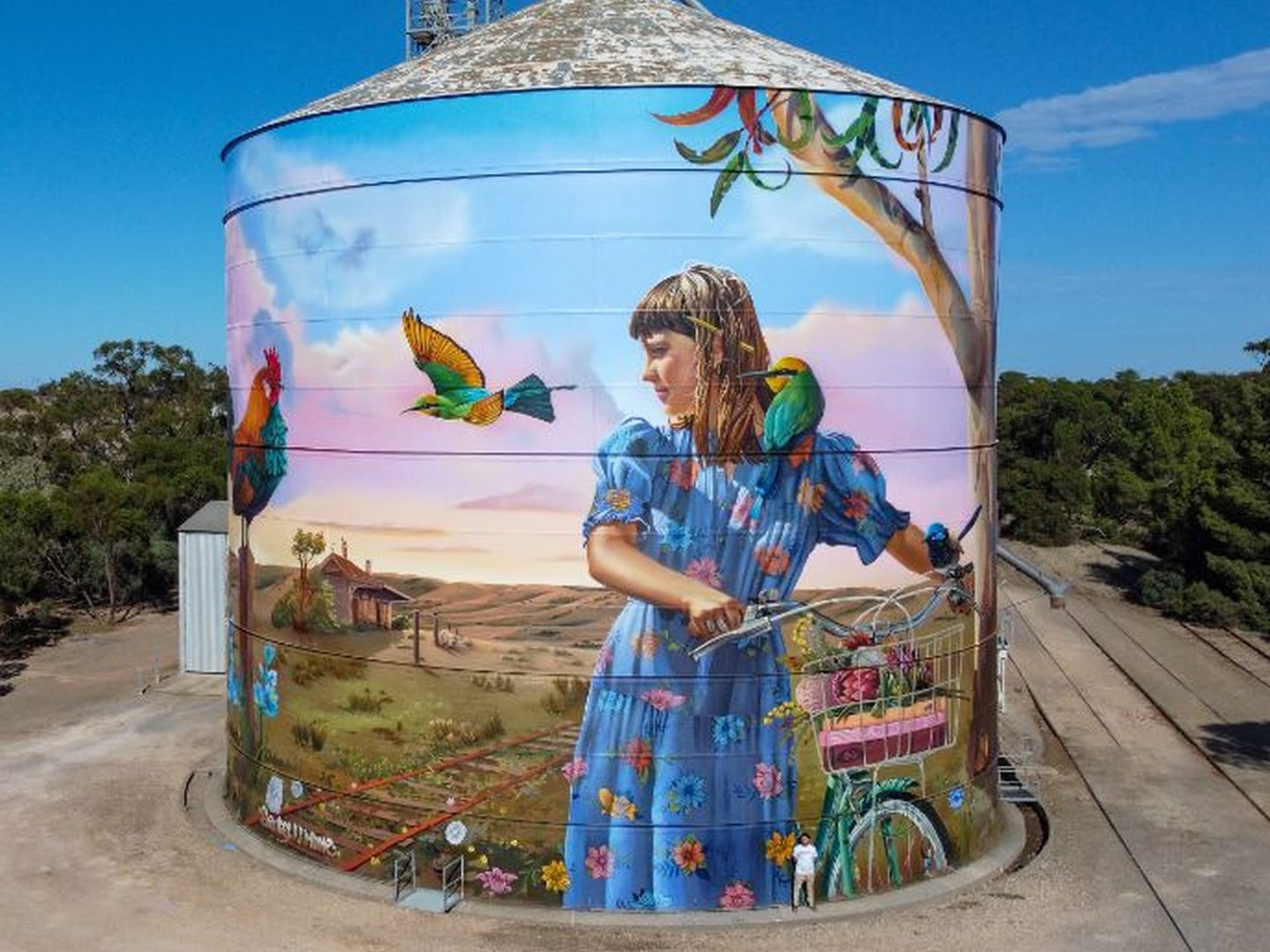 Bute silo art