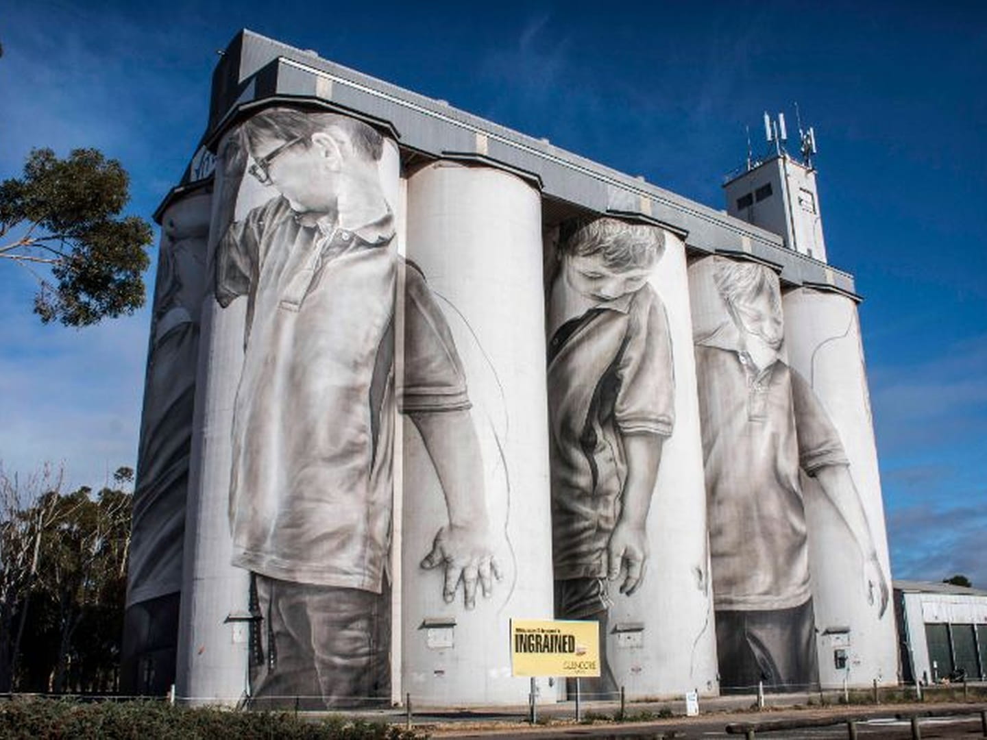 Coonalpyn silo art