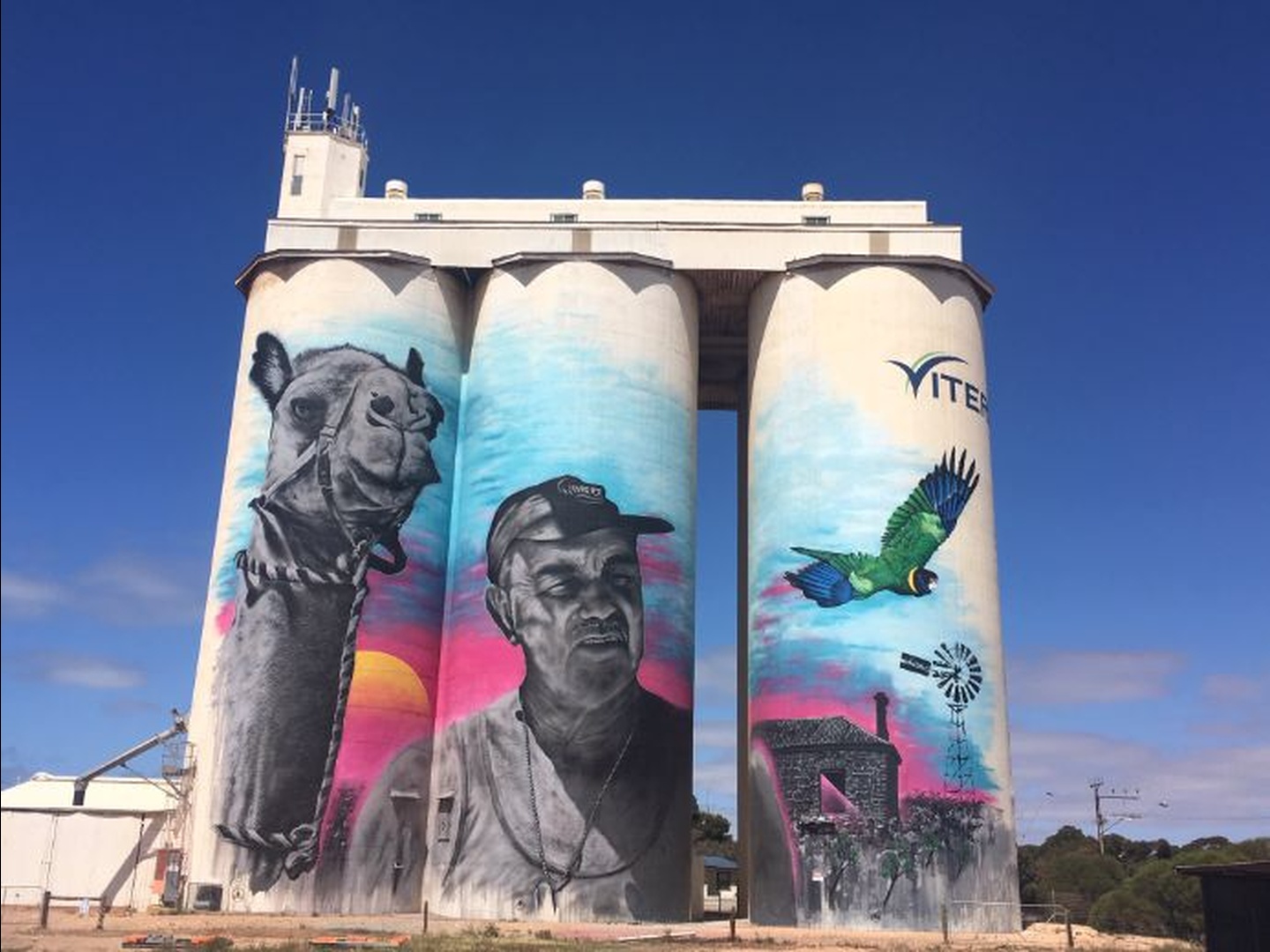 Cowell silo art