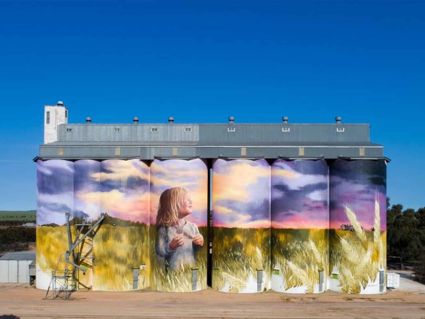 Kimba silo art