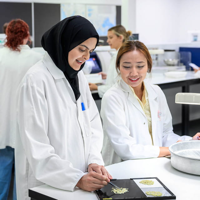 lab