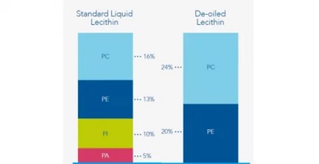 Lecithin