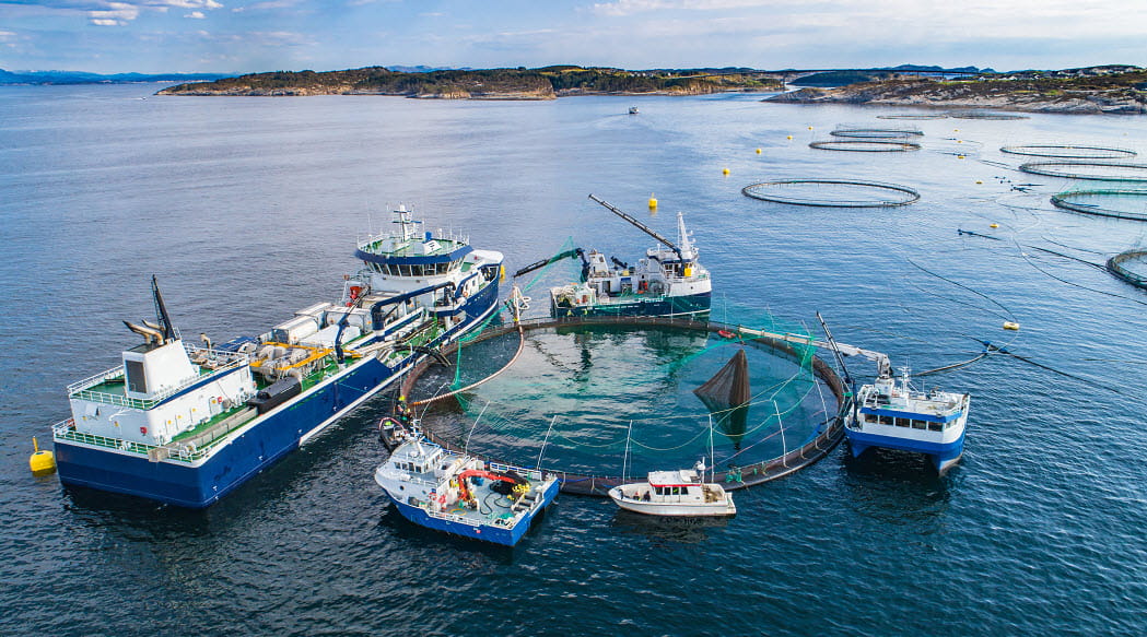 fish farm