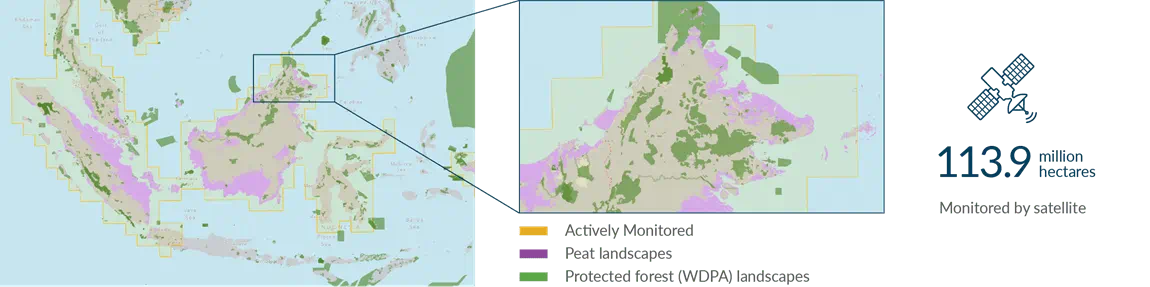 Mapping and monitoring palm