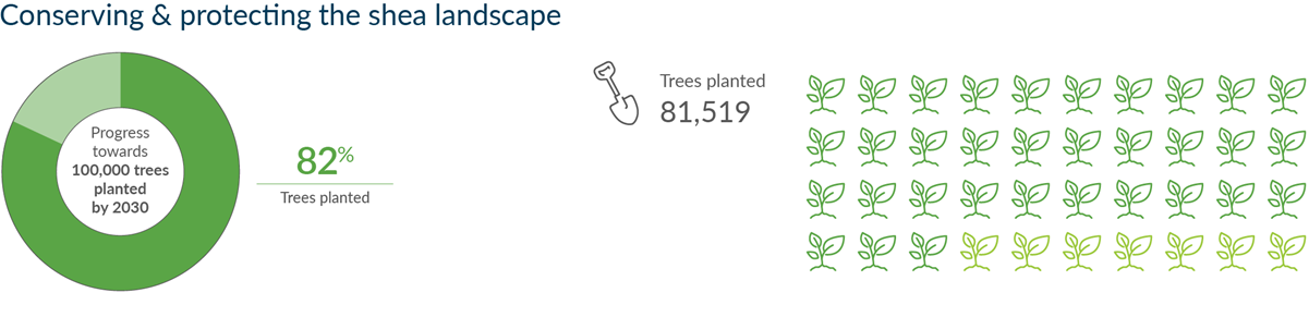 Shea Q3 2023 trees planted