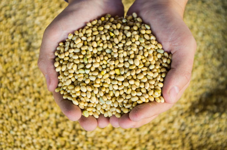 Crops