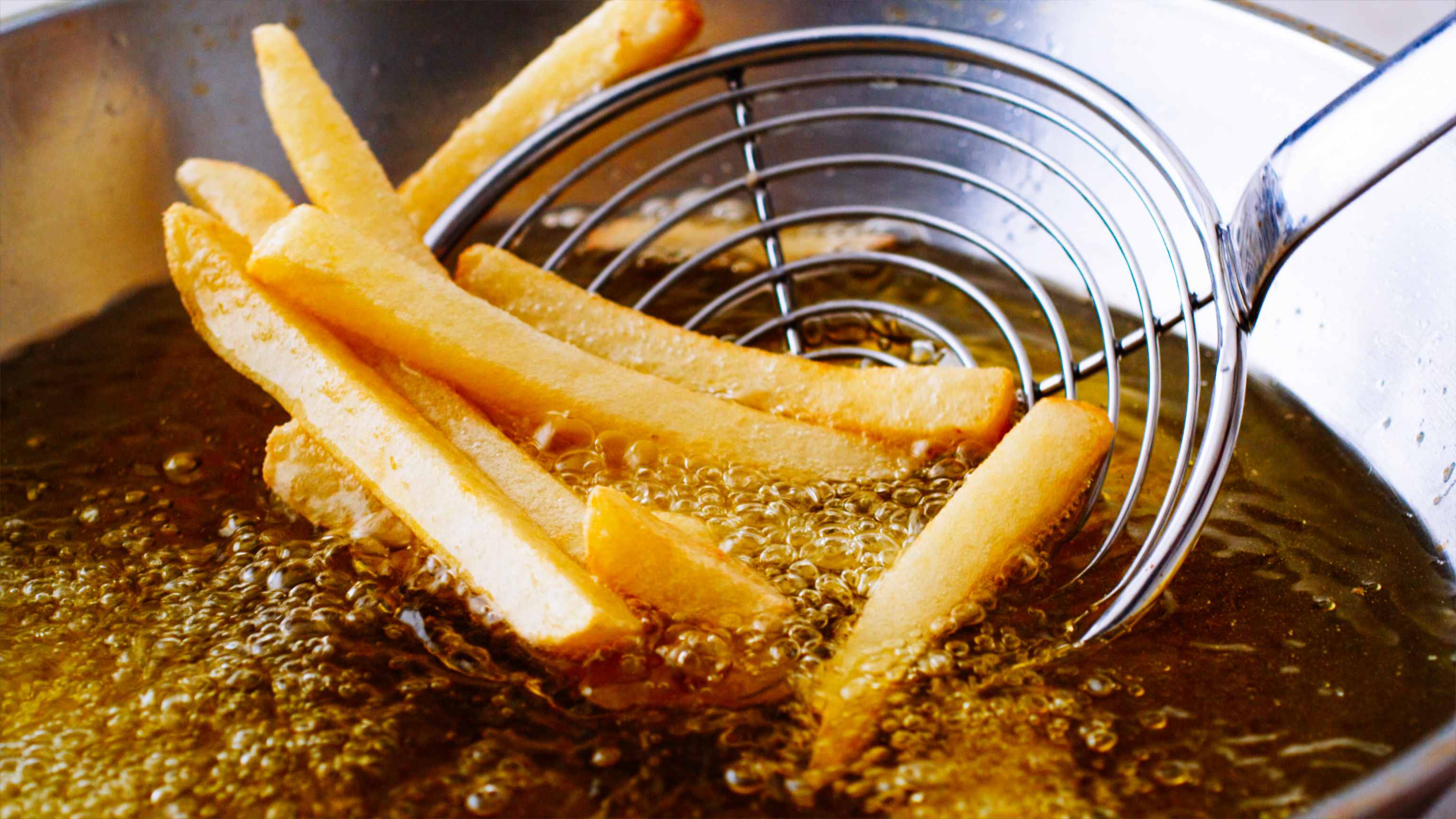 Bunge Oil Frying