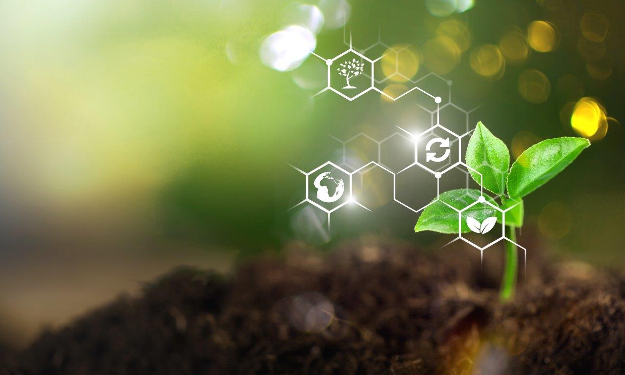 plant science