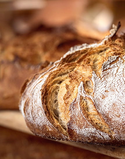 bread