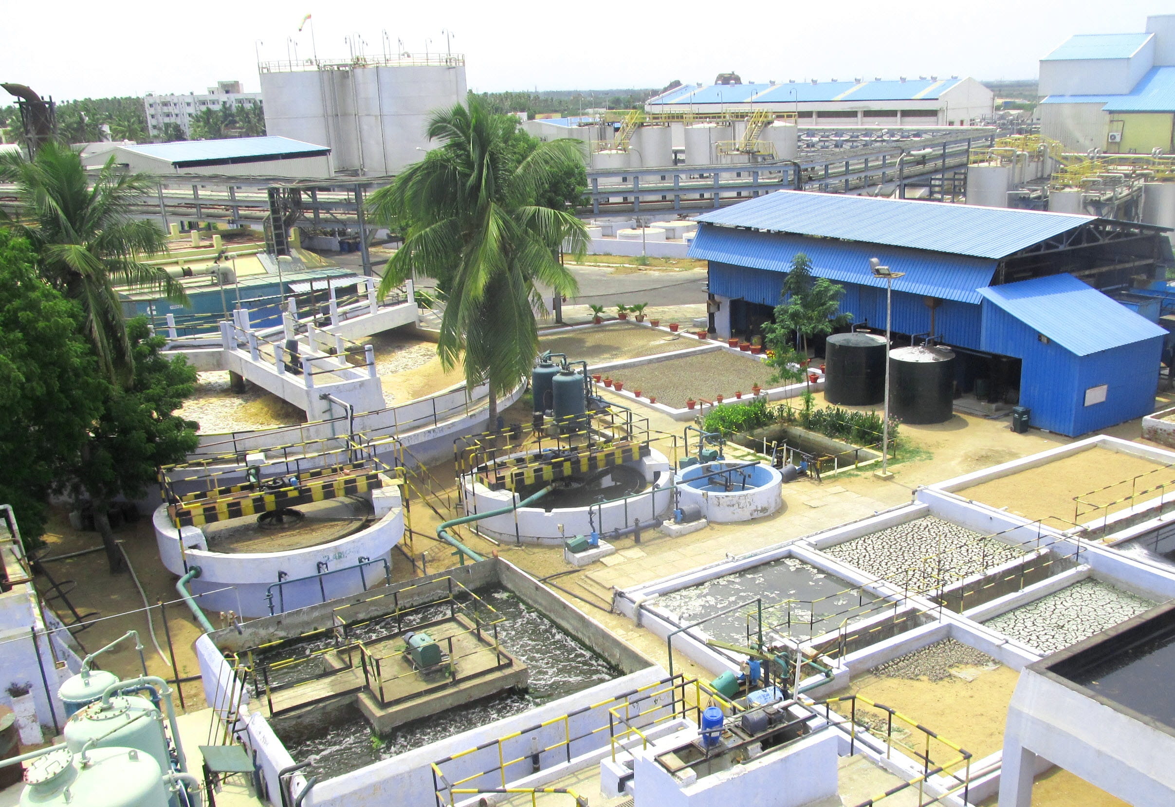 Trichy