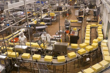 Cheese packaging