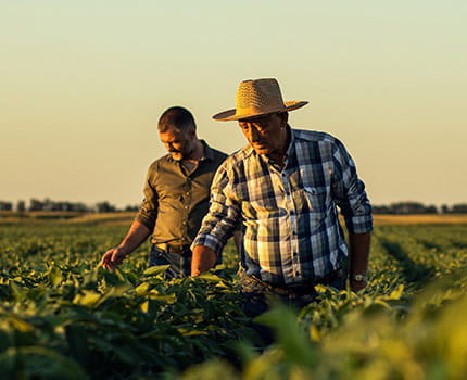 Farmers