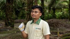 smallholders project with Musim Mas