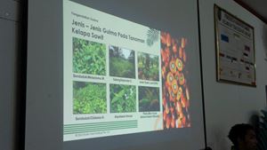 smallholders project with Musim Mas