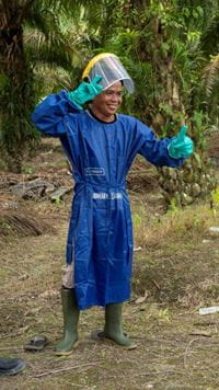 smallholders project with Musim Mas