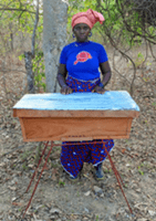 lady with beehyve