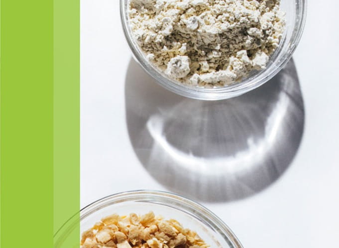 two small glass bowls full of powdered protein concentrate