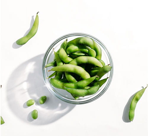 soy