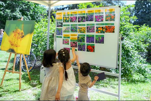 kids looking at flowers