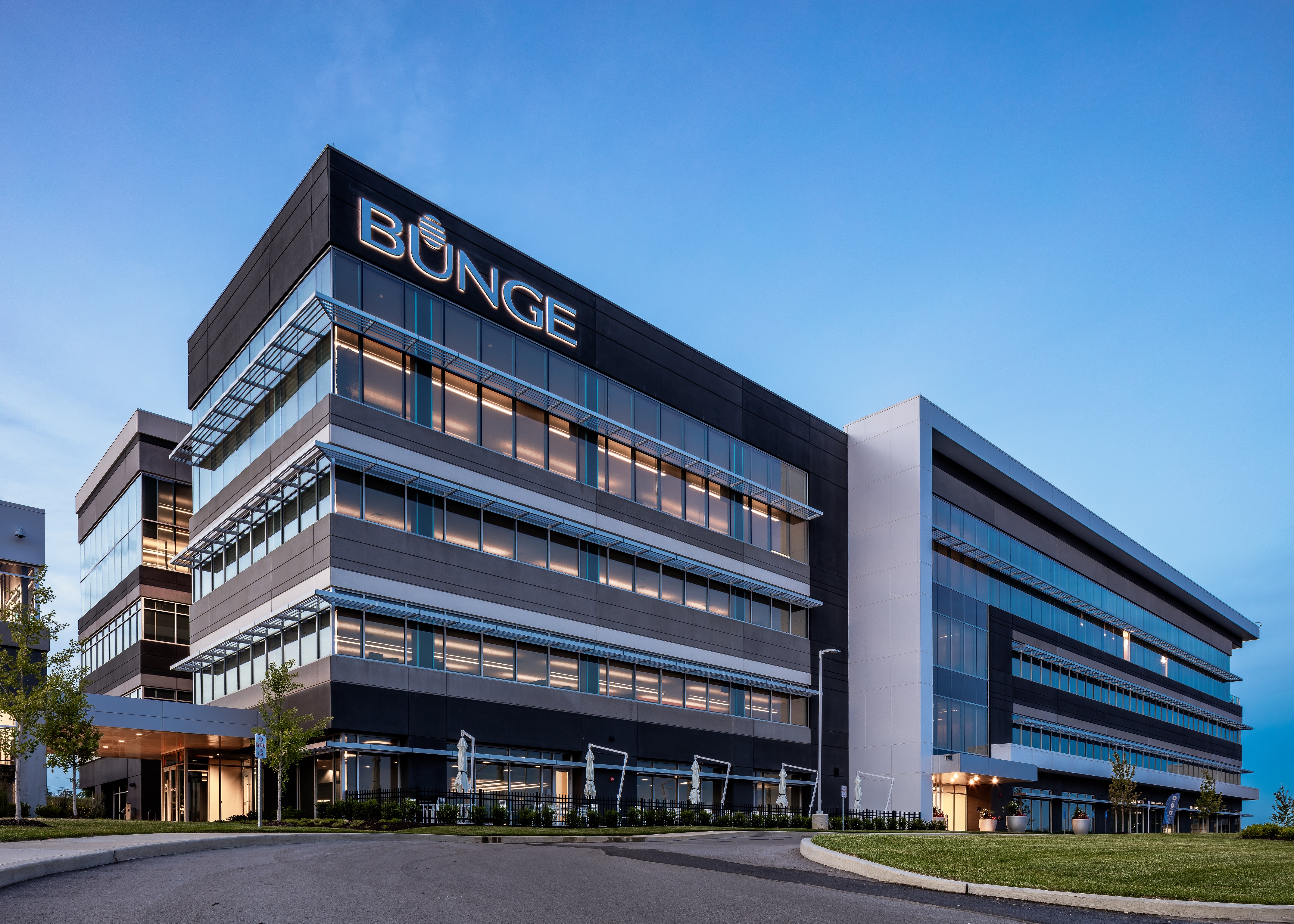 Bunge