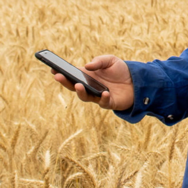 Bunge app and Ezigrain