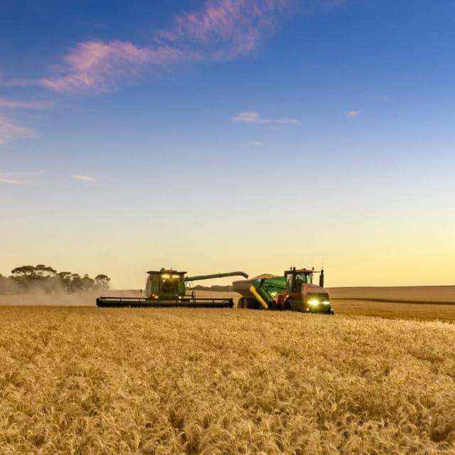 Bunge app and Ezigrain