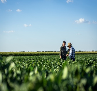 two farmers in a soybean field