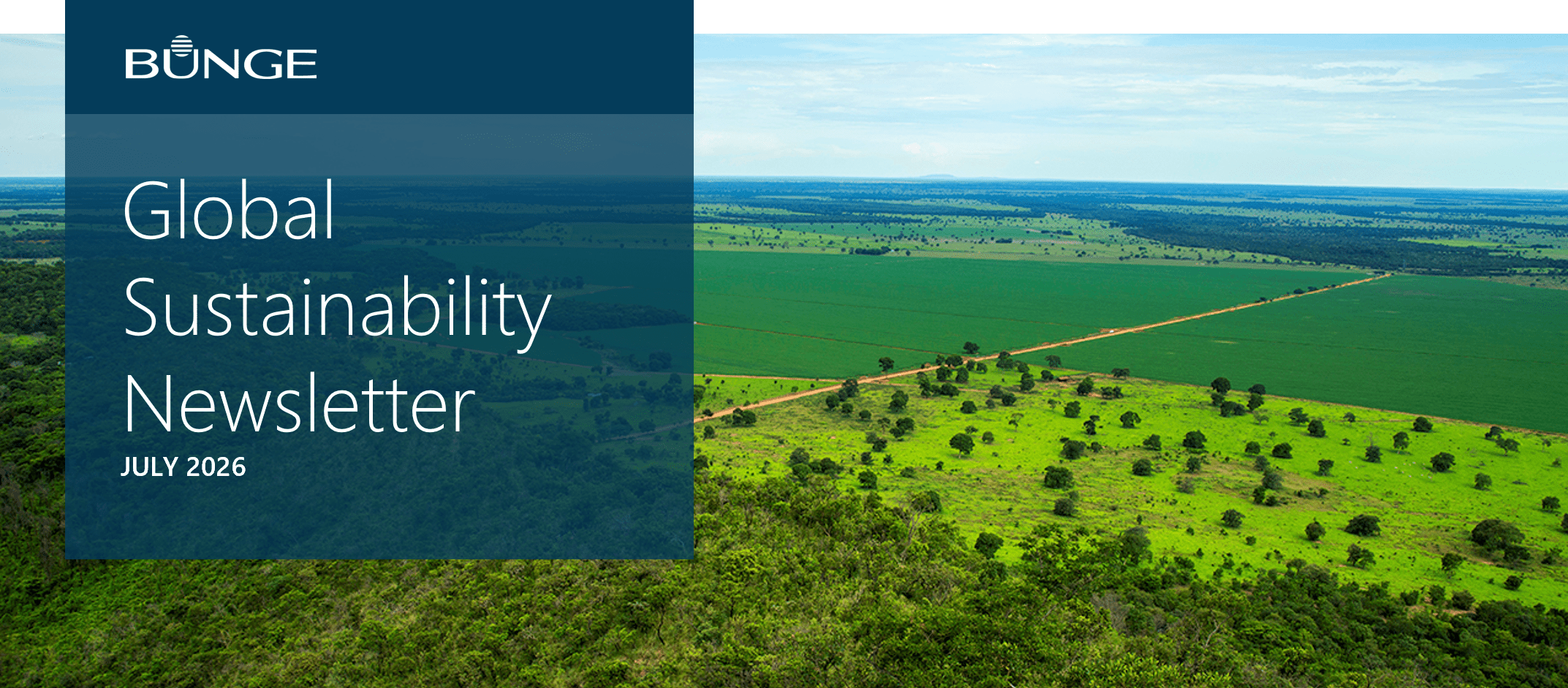 Global Sustainability Newsletter