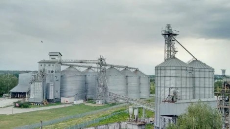 kolos