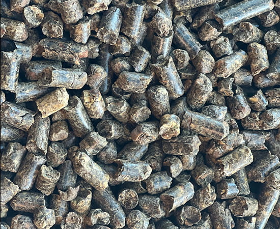 Citrus pulp pellet