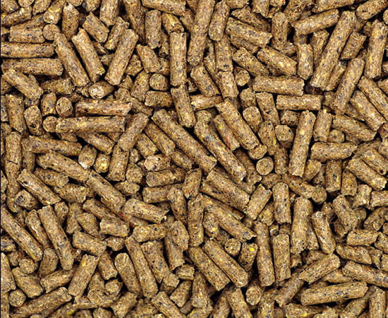 High starch pellets