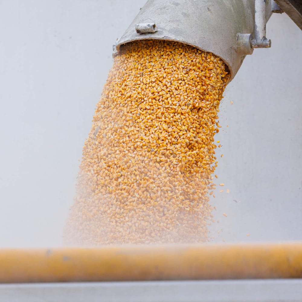 What we do - Our commodities